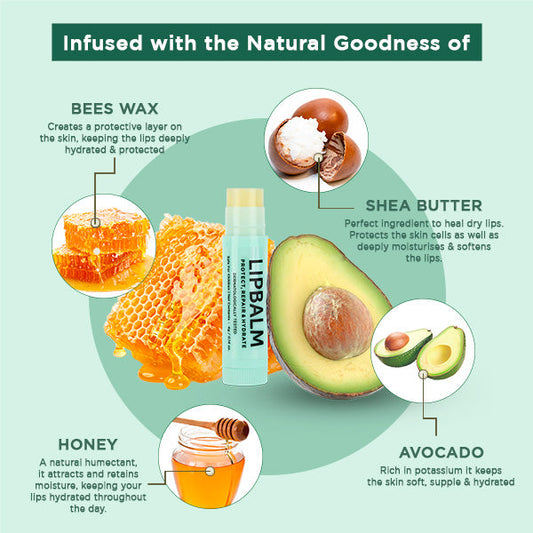 Bellavita The Lip Balm