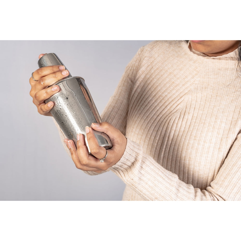 Elephant Stainless Steel Regular Cocktail Shaker 500 ml