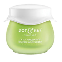 Dot & Key Cica + Niacinamide Oil-Free Moisturizer : 60 ml