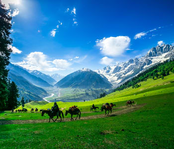 Buy perfumes and Deodrants Online in Anantnag.
