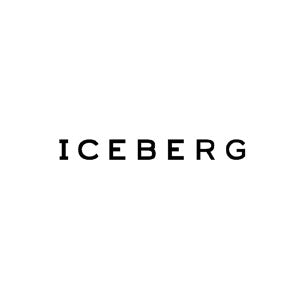 ICEBERG