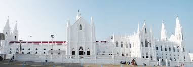 Order Perfumes and Deodorants Online in Nagapattinam.