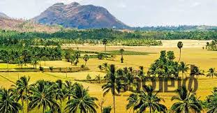 Order Perfumes and Deodorants Online in Palakkad.