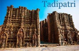 Order Perfumes and Deodorants Online in Tadipatri.