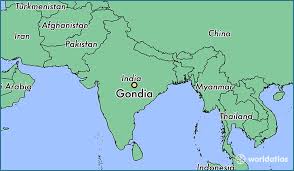 Purchase perfumes and Deodorants online in Gondiya.
