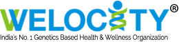 WELOCITY