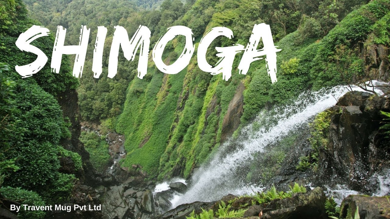 Order Perfumes and Deodorants Online in Shimoga.