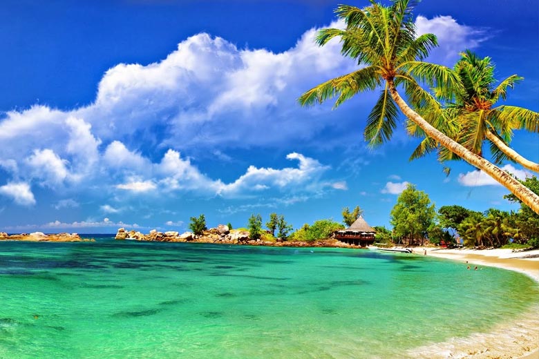 Order Perfumes and Deodorants Online in Port Blair.