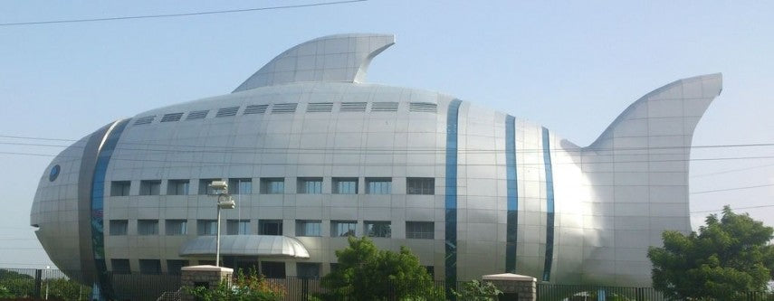Order Perfumes and Deodorants Online in Tiruvottiyur.