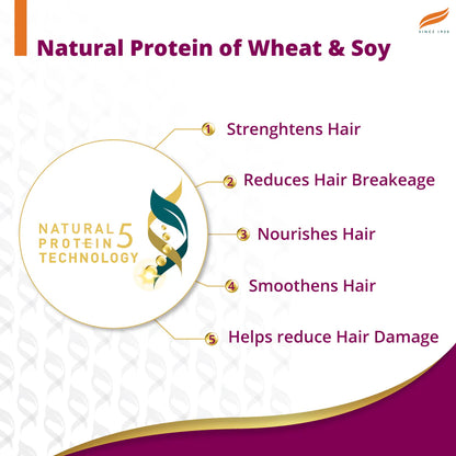 Himalaya Anti-Hair Fall Bhringaraja Shampoo 340 ML