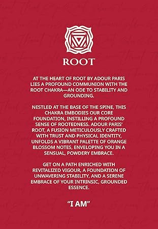 Adour Pairs Deodorant ROOT - 250ML