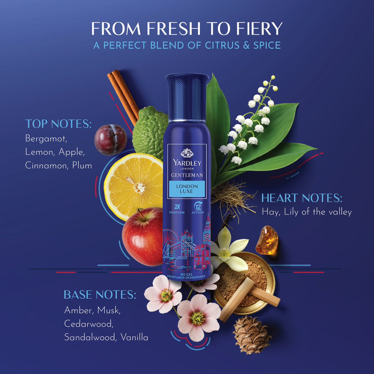 YARDLEY YARDLEY GENTLEMAN LONDON LUXE NO GAS PERFUMED DEODRANT | NO GAS DEO FOR MEN | 2X PERFUME | 12 HOURS ACTION | 120ML