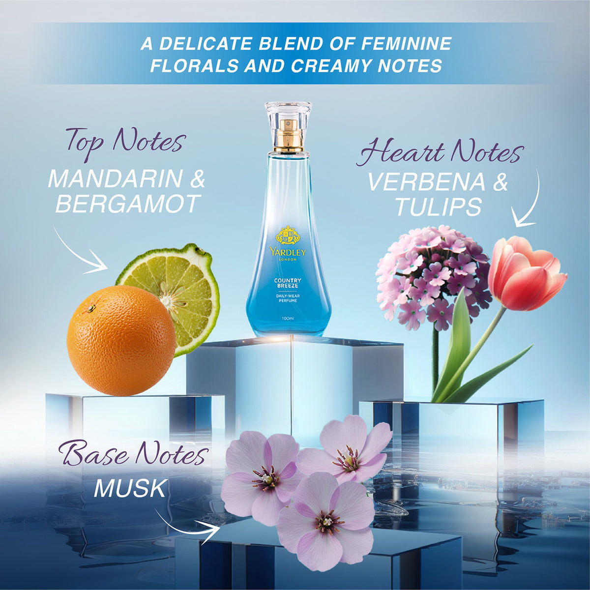 YARDLEY COUNTRY BREEZE DAILY WEAR PERFUME 100ML