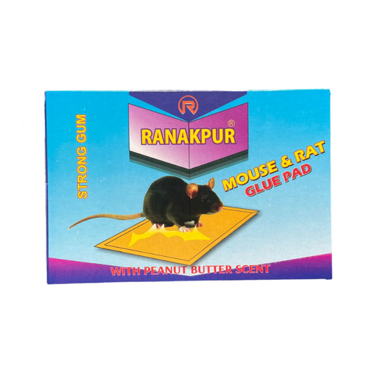 Ranakpur Mouse & Rat Trap with Peanut Butter Scent (Rat Catcher without Position) (17x11 Cm)