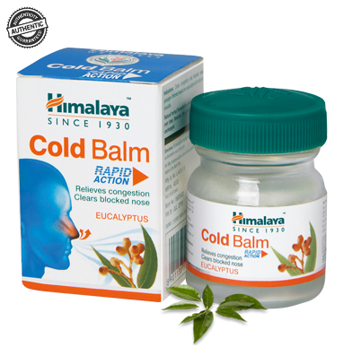 Shop Himalaya Cold Balm Rapid Action Eucalyptus